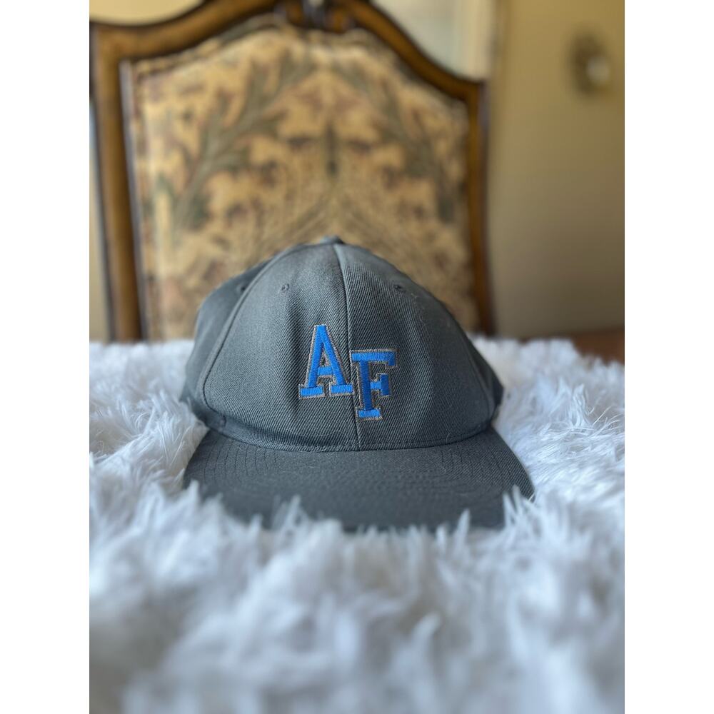 LIDS Air Force Hat Gray